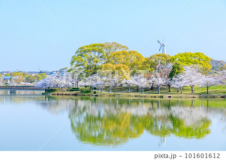 春の駕与丁公園　福岡県糟屋町 101601612