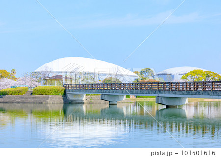 春の駕与丁公園　福岡県糟屋町 101601616