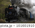 爆煙を上げて走るSL銀河(プレート赤) 101601910