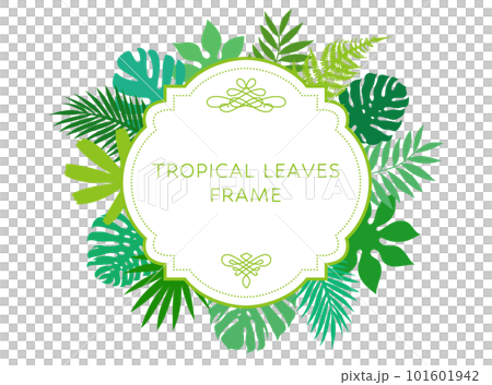 tropical leaf frame tropical leaf frame 101601942