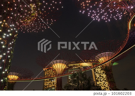 シンガポール スーパーツリー グローブ ライトショー イルミネーション	 101602203