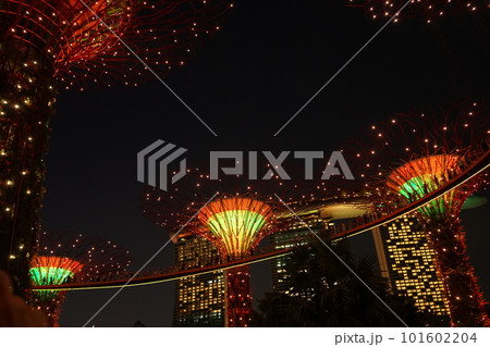 シンガポール スーパーツリー グローブ ライトショー イルミネーション	 101602204