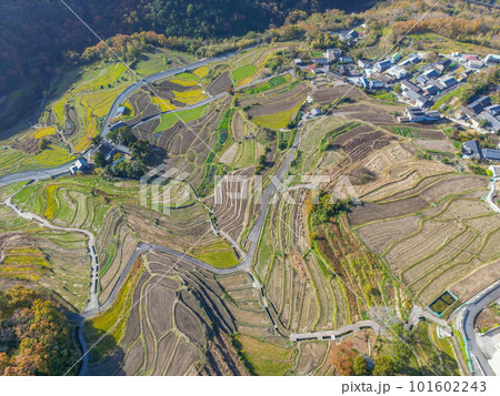 中山千枚田 中山千枚田 101602243