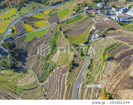 中山千枚田 中山千枚田 101602244