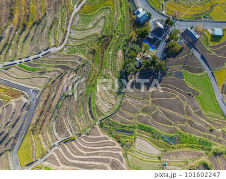 中山千枚田 101602247