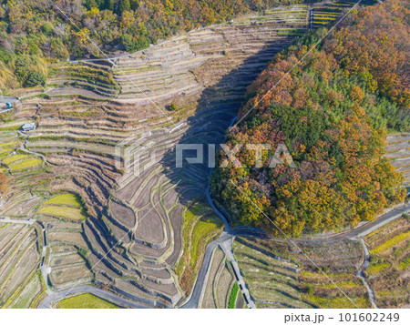 中山千枚田 101602249