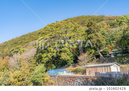 蓮華寺 蓮華寺 101602428