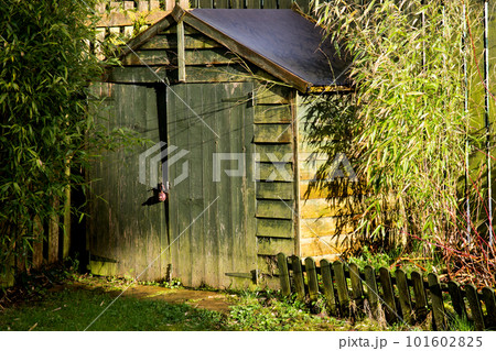 Old Garden Shed in Winter Afternoon Sunshine Old Garden Shed in Winter Afternoon Sunshine 101602825