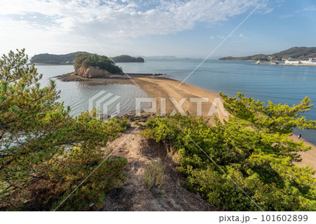 エンジェルロード 101602899