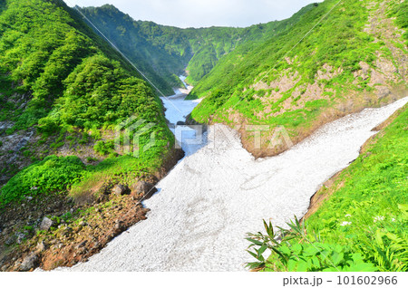 真夏の荒沢岳万年雪 真夏の荒沢岳万年雪 101602966