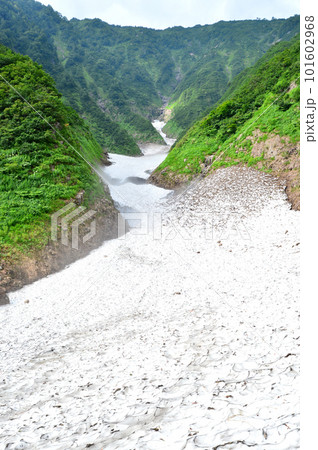 真夏の荒沢岳万年雪 101602968