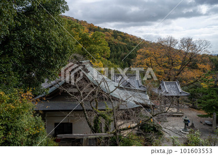 切幡寺 切幡寺 101603553