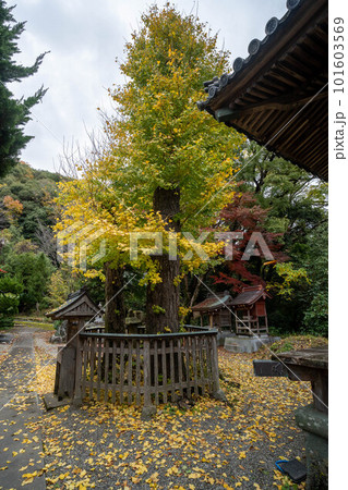 切幡寺 101603569