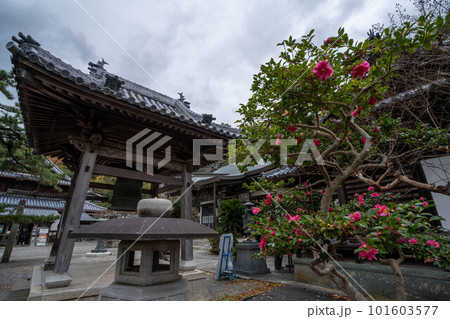 切幡寺 101603577
