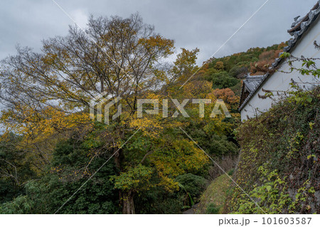 切幡寺 101603587