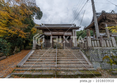 藤井寺 藤井寺 101603910