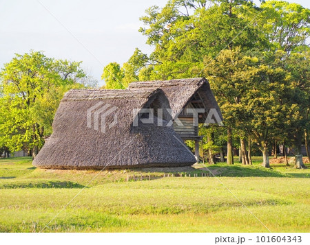 ＜登呂遺跡＞竪穴式住居と高床式倉庫 101604343