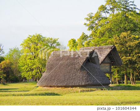 ＜登呂遺跡＞竪穴式住居と高床式倉庫 101604344