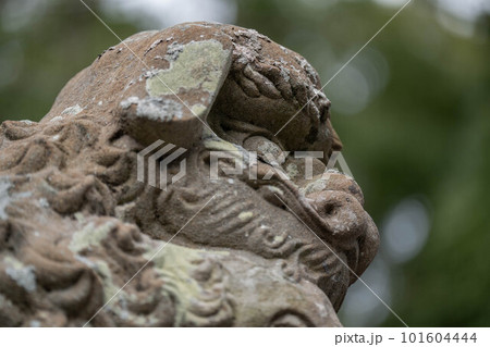 大麻比古神社 大麻比古神社 101604444