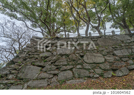 徳島城 徳島城 101604562