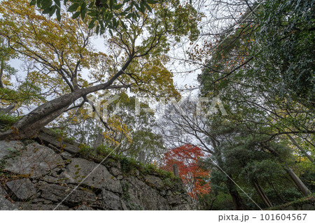 徳島城 徳島城 101604567