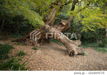 徳島城 徳島城 101604570