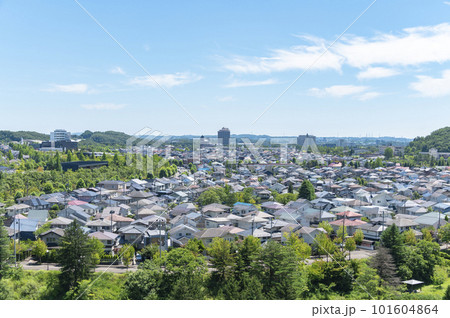 青空と綺麗な郊外の住宅街 青空と綺麗な郊外の住宅街 101604864