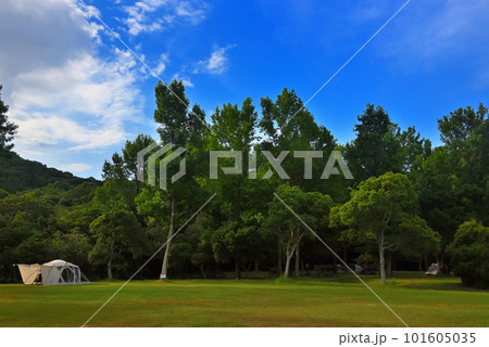 キャンプのイメージ・白いスクリーンドームが緑に映える爽やかな風景・田浦野営場・徳島県鳴門市(1) キャンプのイメージ・白いスクリーンドームが緑に映える爽やかな風景・田浦野営場・徳島県鳴門市(1) 101605035
