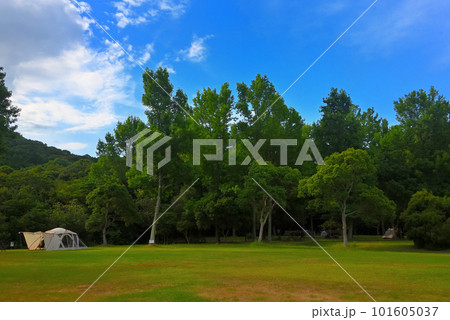 キャンプのイメージ・白いスクリーンドームが緑に映える爽やかな風景・田浦野営場・徳島県鳴門市(2) キャンプのイメージ・白いスクリーンドームが緑に映える爽やかな風景・田浦野営場・徳島県鳴門市(2) 101605037