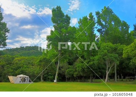 キャンプのイメージ・白いスクリーンドームが緑に映える爽やかな風景・田浦野営場・徳島県鳴門市(8) 101605048