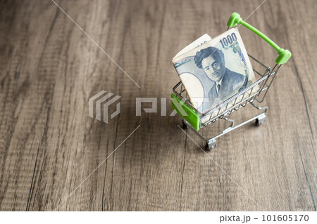ショッピングカートに千円札が入っている　現金で買い物をしているイメージ 101605170