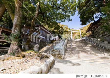 多度大社 上げ坂 多度祭御殿 御神木 多度大社 上げ坂 多度祭御殿 御神木 101605505