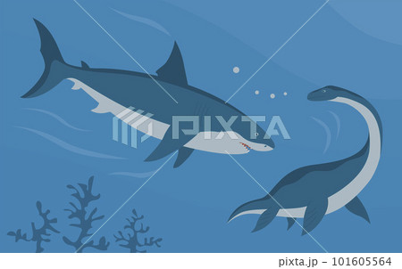 Illustration prehistoric underwater shark megalodon vs plesiosaur 101605564
