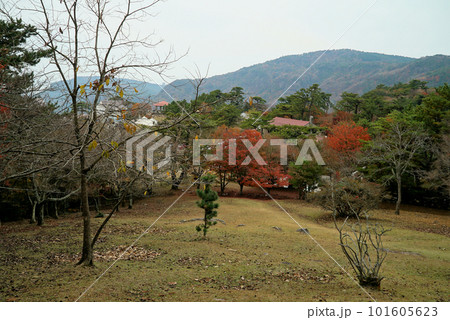 碧い空と紅葉がキレイな寒霞渓_小豆島 碧い空と紅葉がキレイな寒霞渓_小豆島 101605623