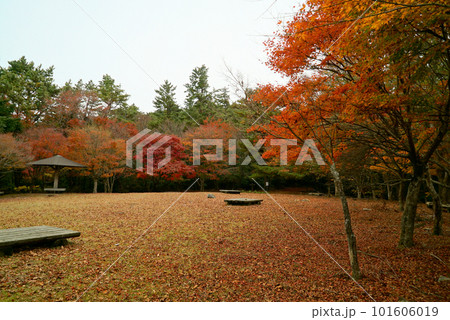 碧い空と紅葉がキレイな寒霞渓_小豆島 101606019