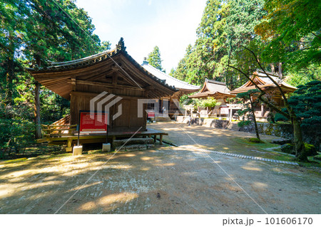 【西国三十三所】第二十七番　圓教寺　秋の木漏れ日にたたずむ奥の院2　兵庫県姫路市 101606170
