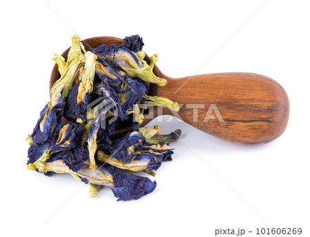 Butterfly pea flowers in wooden spoon, isolated on white background. Blue herbal tea. Clitoria Ternatea. Butterfly pea flowers in wooden spoon, isolated on white background. Blue herbal tea. Clitoria Ternatea. 101606269