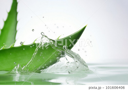 Generative ai, aloe vera with water splashes. 101606406