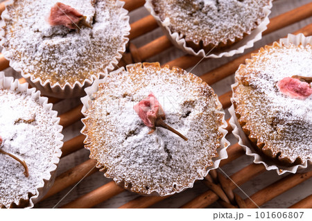 桜のマフィン 101606807