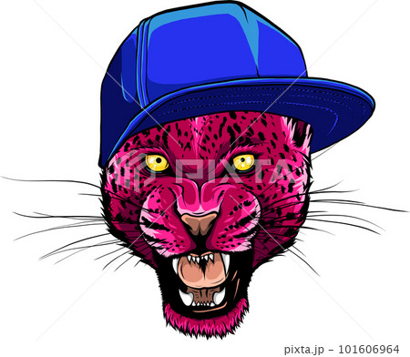 Portrait of a leopard in the cap on white background 101606964