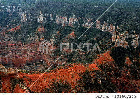 Aerial View Grand Canyon Arizona 101607255