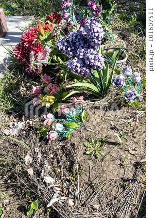 old artificial flowers on grave mound in cemetery on sunny day 101607511