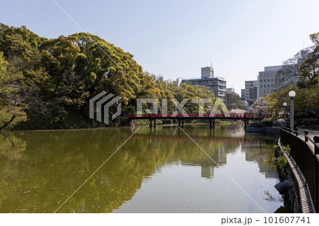 桜の咲く天王寺公園の河底池と茶臼山古墳（2023年4月1日撮影） 101607741