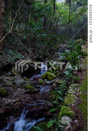 観音水の川 観音水の川 101608358