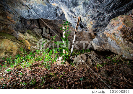 中津川岩陰遺跡 中津川岩陰遺跡 101608892
