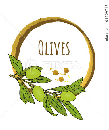 Watercolor frame with branch of green olives. Drawn by hand. For design labels, stickers. 101609718