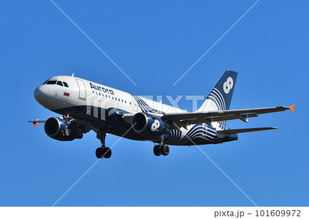 オーロラの旅客機 A319-100 101609972
