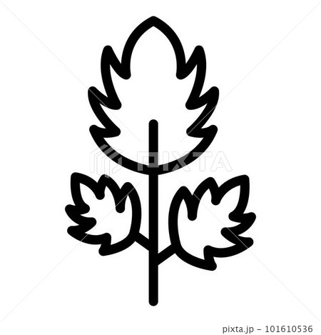 Parsley botany icon. Outline parsley botany vector icon for web design isolated on white background 101610536