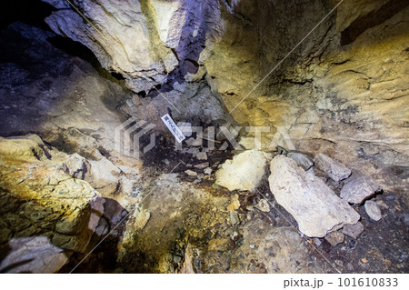 穴神鍾乳洞の縄文人の生活跡 101610833