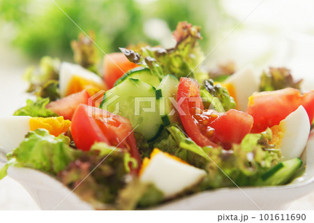 ゆで卵と彩り野菜サラダ ゆで卵と彩り野菜サラダ 101611690